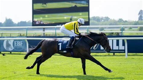 irish derby betting odds|Irish Derby Betting Odds.
